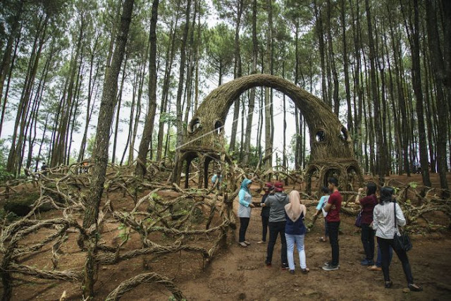 Rute Jalan ke Hutan Pinus Pengger Bantul, Destinasi Wisata Malam 