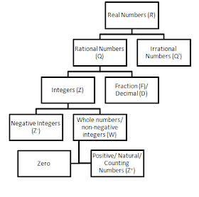 Number System
