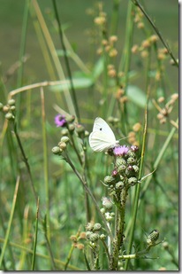 P1210075