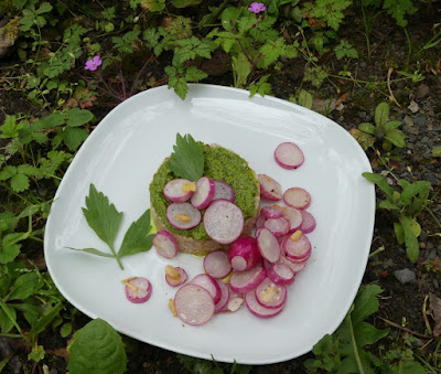 Hafergrütze mit Liebstöckel-Pesto und gebratenen Radieschen