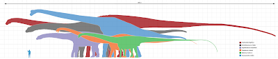 Comparativa tamaño Bruhathkayosaurus - Hombre