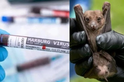 Tanzania announces outbreak of deadly Marburg virus disease.