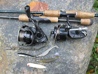 Diawa mitchell 300 zara puppy hub's chub