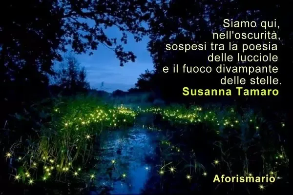 Lucciole luminose nella notte