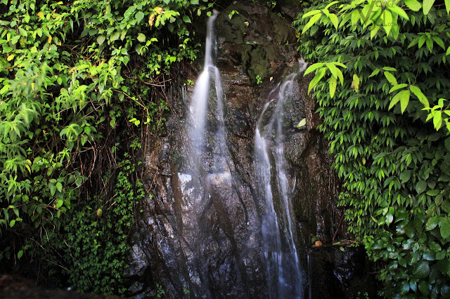 Roadside waterfalls on the Ooty gudalur highway