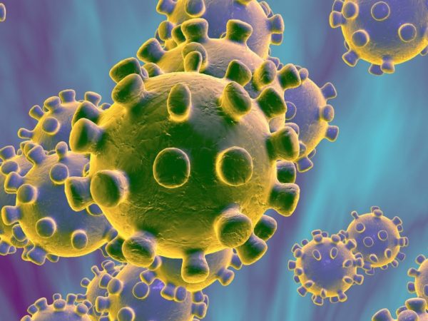 Coronavirus death toll increases in Italy