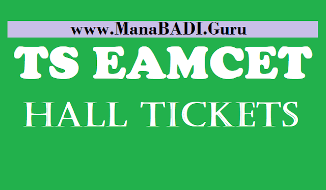 TS Hall Tickets, TS EAMCET Hall Tickets, Telangana EAMCET hall tickets, www.eamcet.tsche.ac.in, TS EAMCET, Hall Ticketes, Telangana State Council of Higher Education, TSCHE