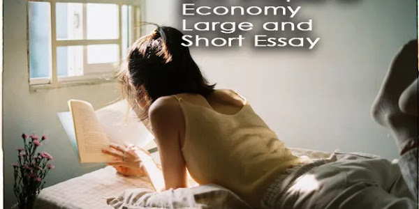 Global Recession and shapes of Economy Large and Short Essay