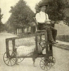 El curioso vehículo cabramóvil (1900)