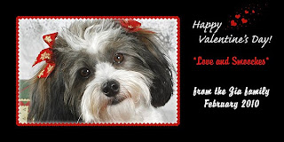 Dog Valentine Cards