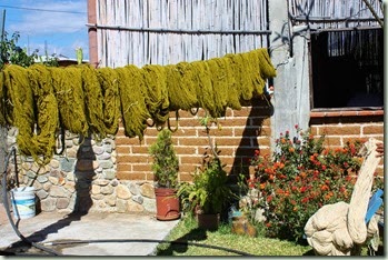 IMG_8681_1024x683