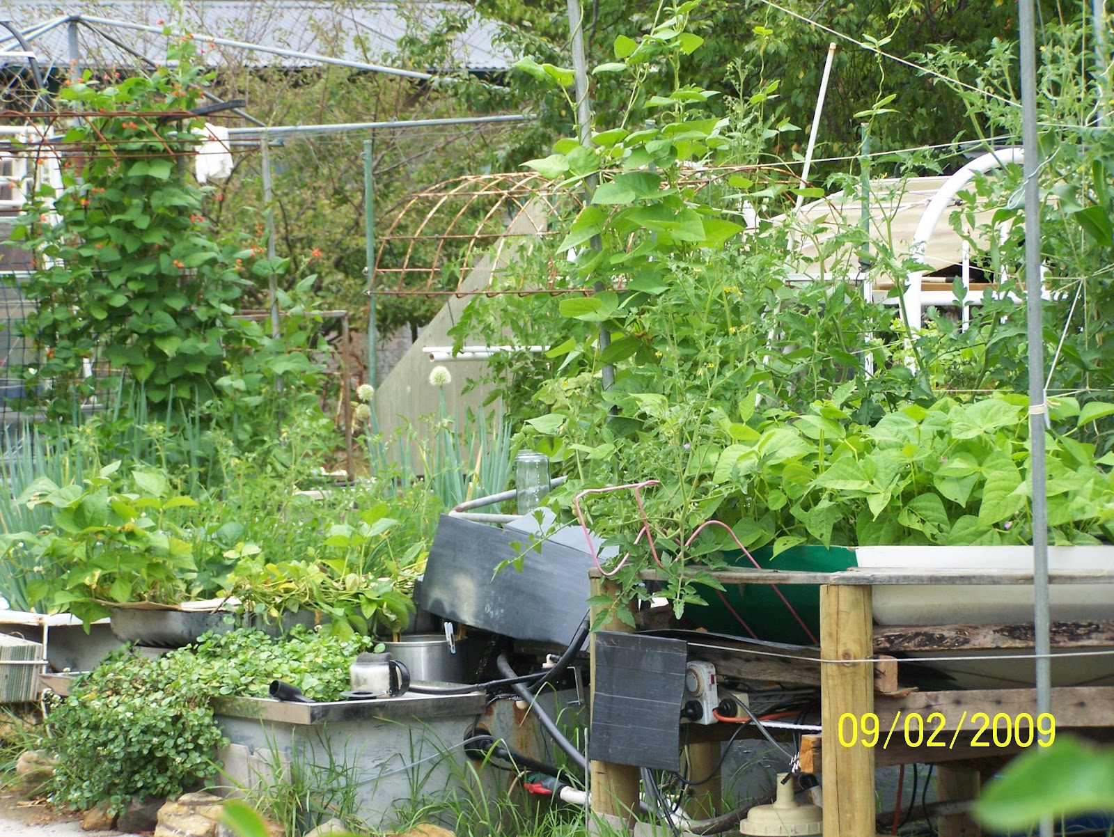 Edible Garden Journal Permaculture: Vermiculture
