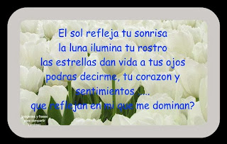 Imagenes bonitas de amor con frases 