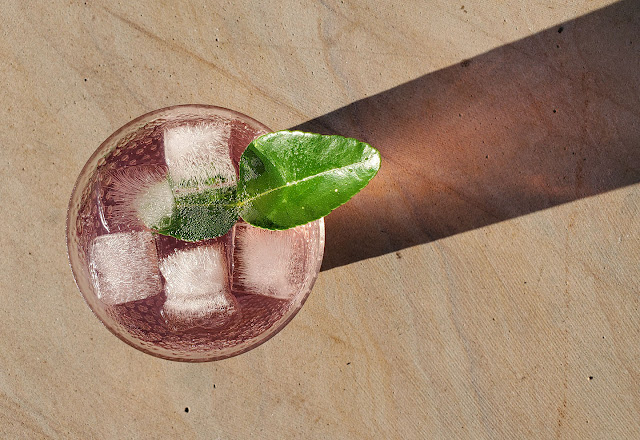 gin with lime leaf by marie viljoen