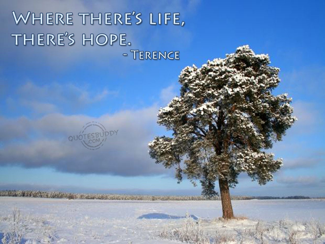 Hope Quotes