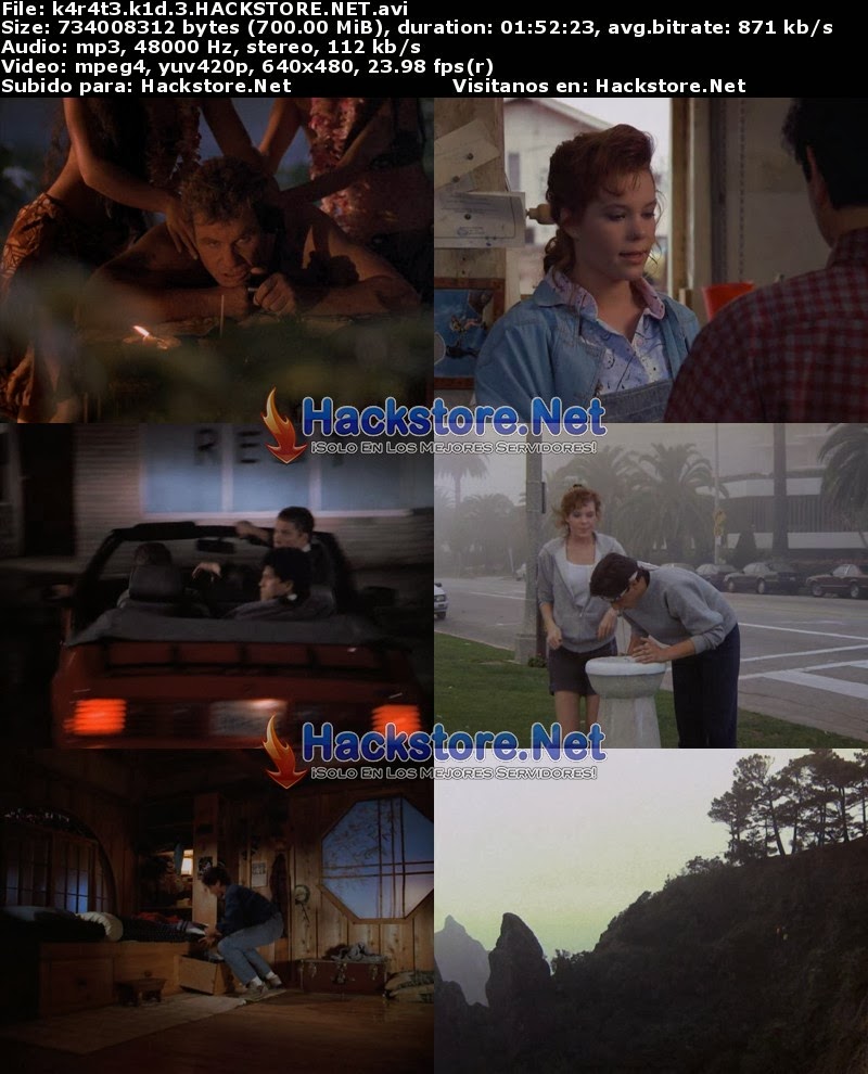 Terminator 4 Espanol Latino 1 Link