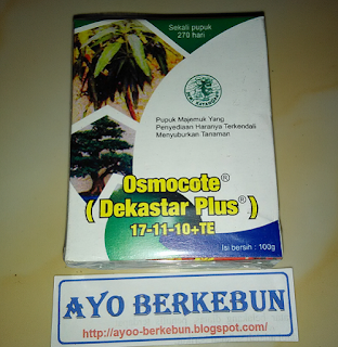 jual pupuk daun