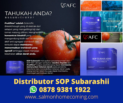 SOP Subarashi Fruitflow