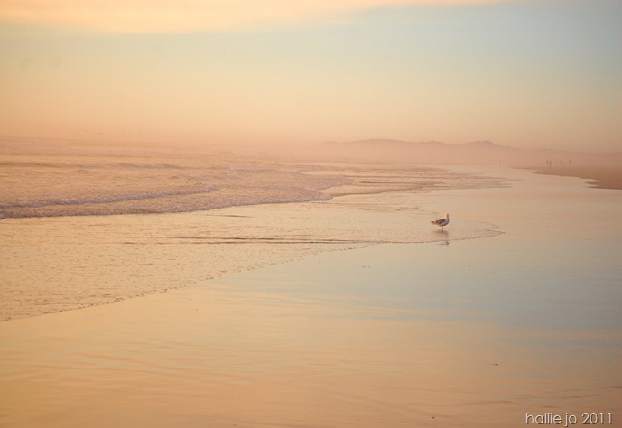 beach35