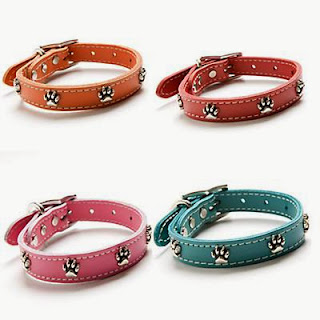 best collar for your puppy dog training