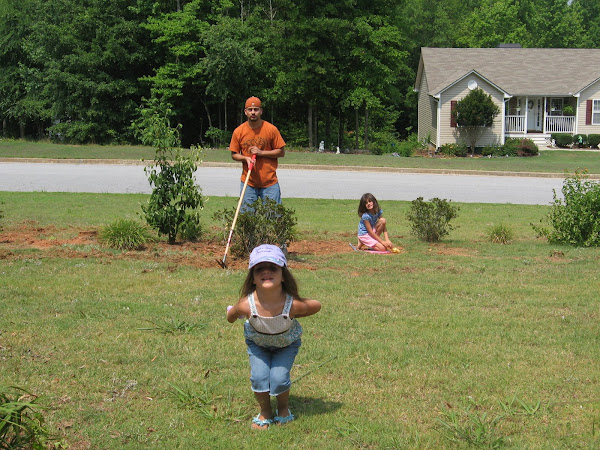 yard work.