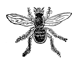 insect bee image digital clip art transfer download