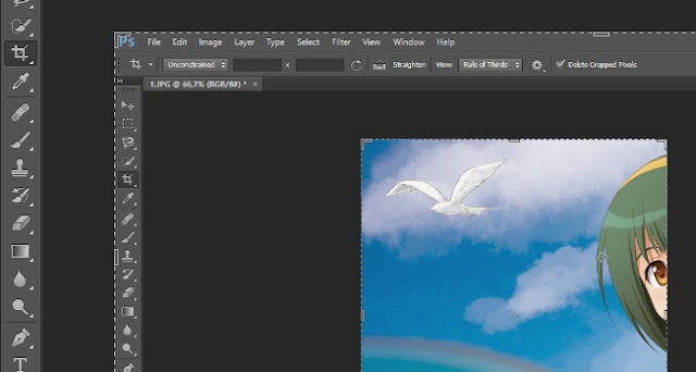 Cara Crop Gambar dan Foto di Photoshop
