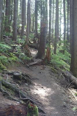 Trail Trail