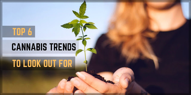 Cannabis Trends