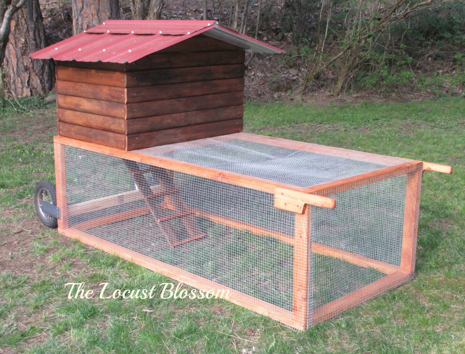 The Locust Blossom: The $42 Chicken Tractor