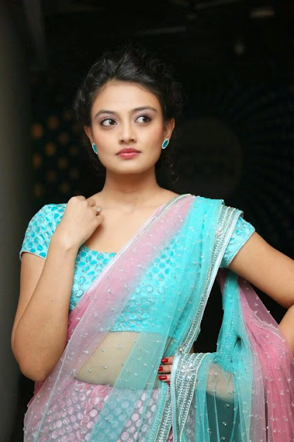 south actress hot images in saree