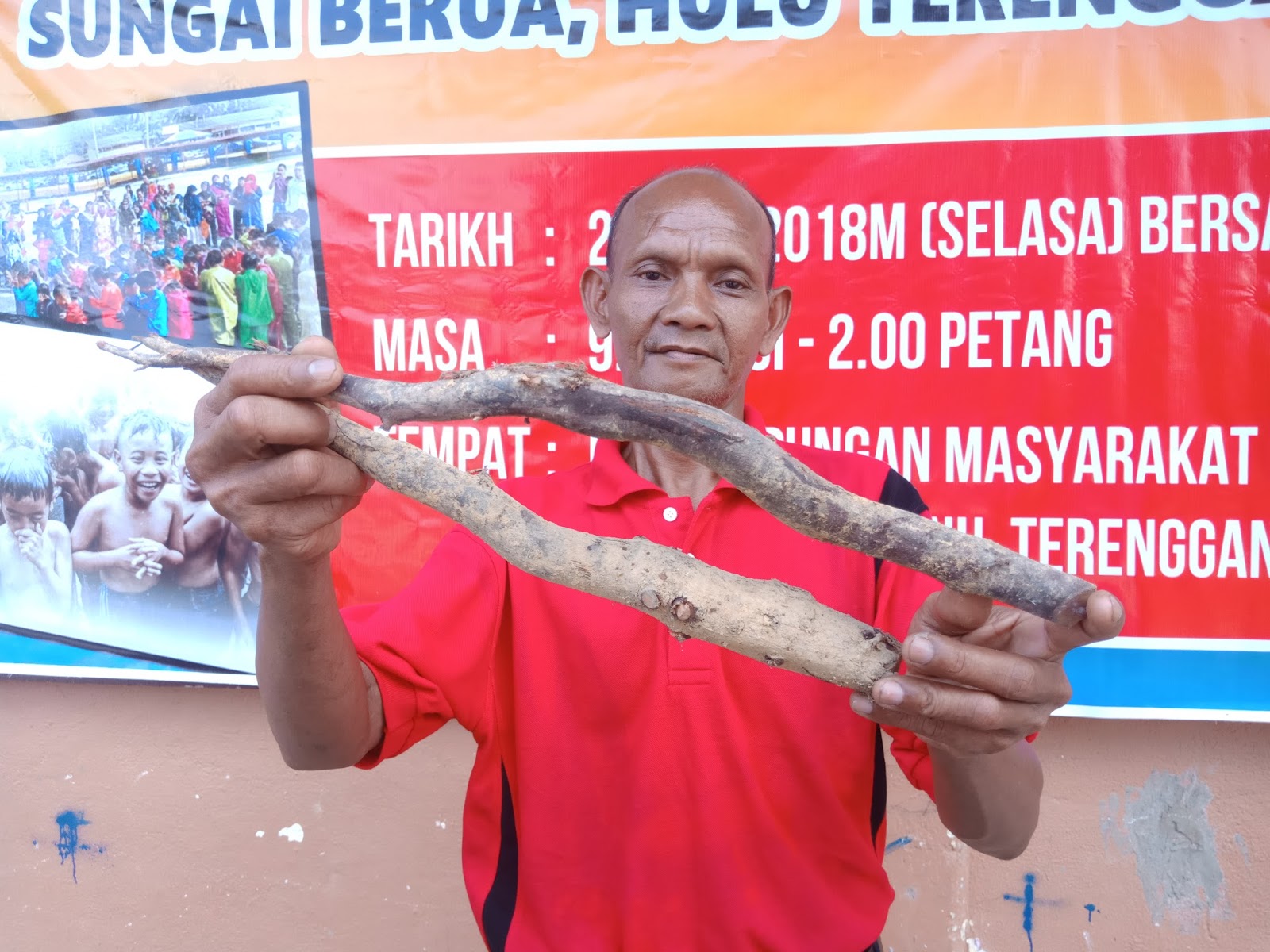 Orang Asli Dewasa Sungai Berua Berkhatan - Teganukita.net