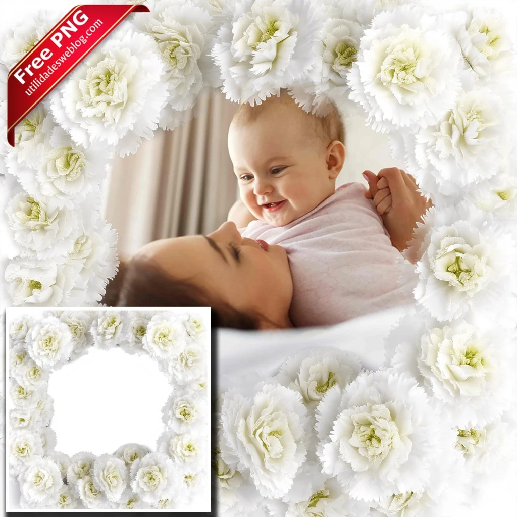 marco para fotos con flores de claveles blancos en png con fondo transparente para descargar gratis