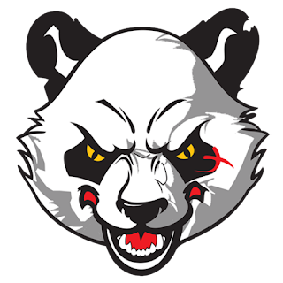 Logo DLS 2017 panda