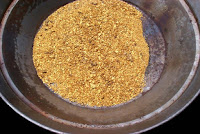 gold panning in usa