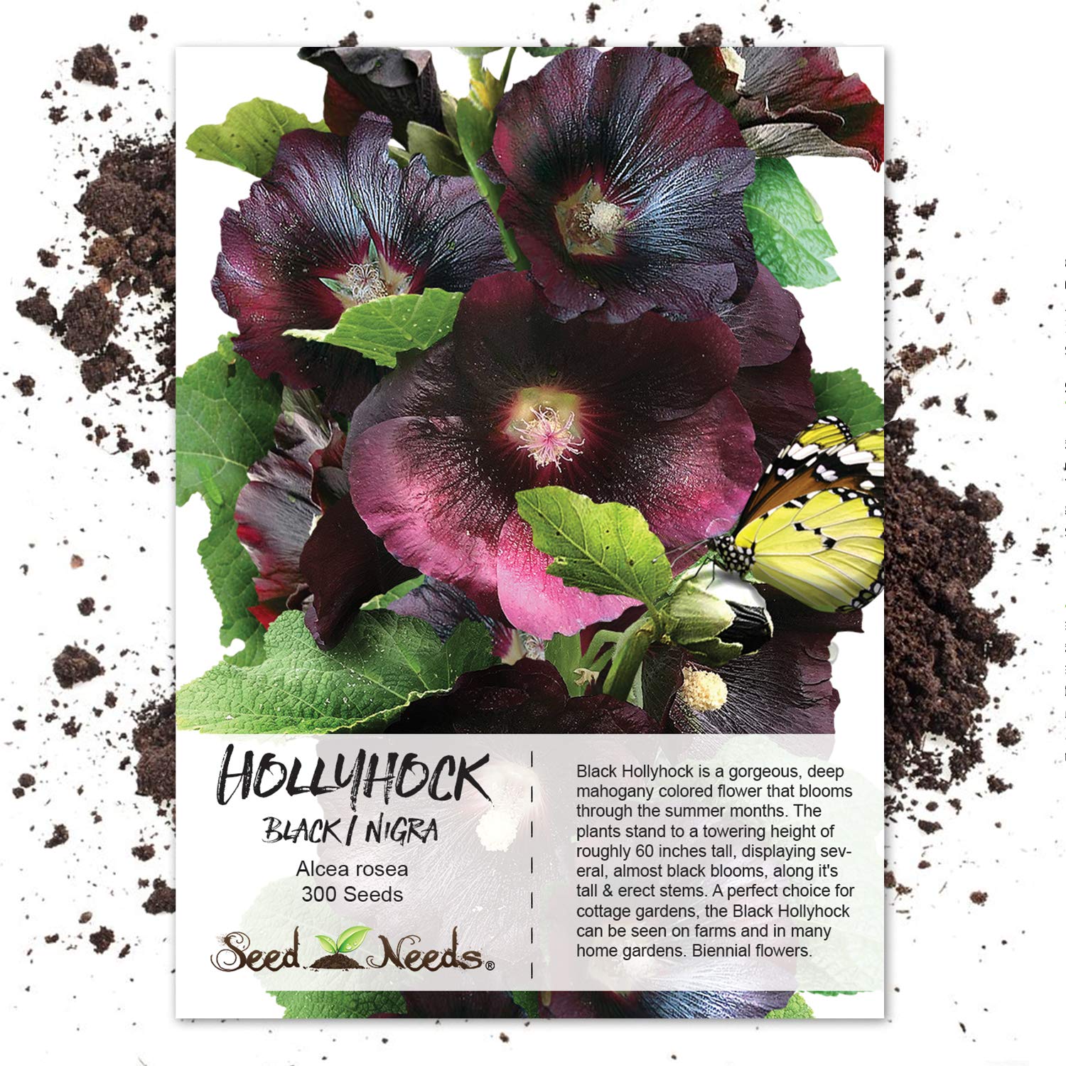 A perfect choice for cottage gardens, the Black Hollyhock can be seen on farms and in many home gardens. It is popularly used as a backdrop plant and can be planted along fences as well.