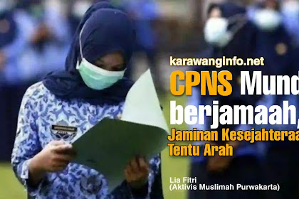 CPNS Mundur berjamaah, Jaminan Kesejahteraan Tak Tentu Arah