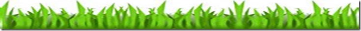 grass