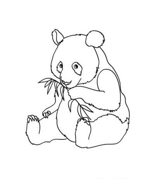 Panda Bear Coloring Pages 7