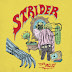 Strider - Tuan Mojo (Single) [iTunes Plus AAC M4A]