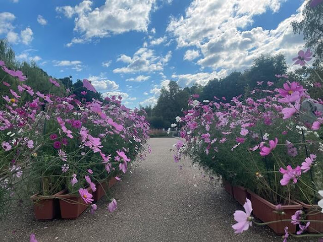 京都府立植物園