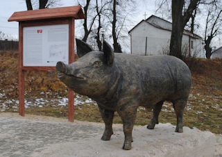 LEGENDA WIEPRZA