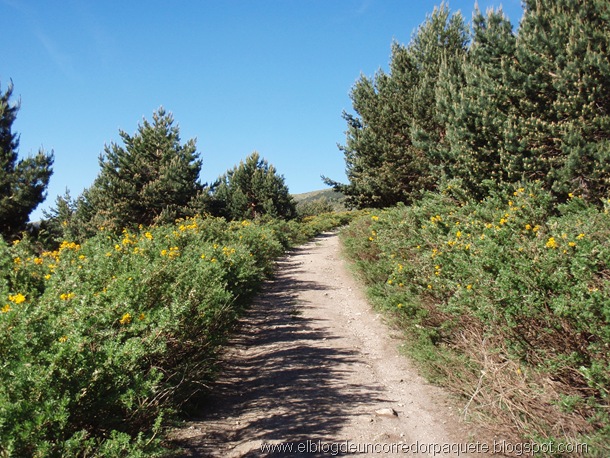 rascafria_cotos 08-06-10 - 0009