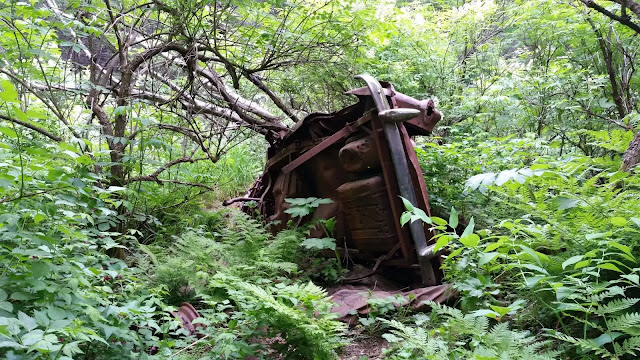 Two Lakes trail starts behind in Seward, Alaska