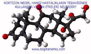 KORTİZON NEDİR, HANGİ HASTALIKLARIN TEDAVİSİNDE KULLANILIR