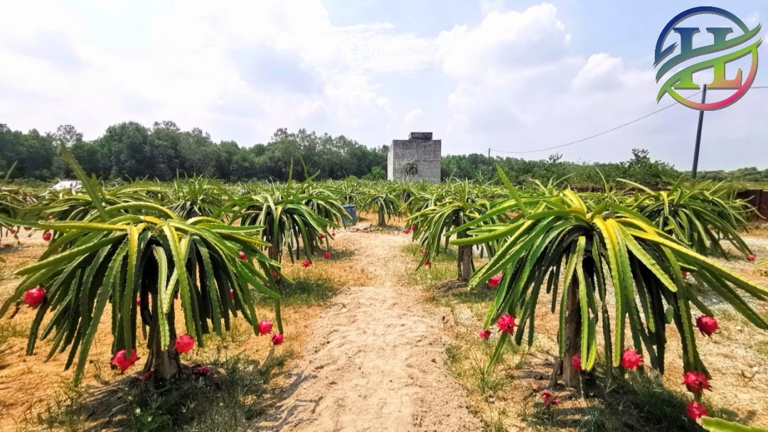 Tempat menarik baharu di Selangor