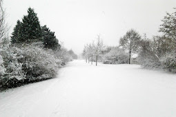 ¡Órale! 38+  Raras razones para el Sneeuw: Door de sneeuw, als sneeuw voor de zon.
