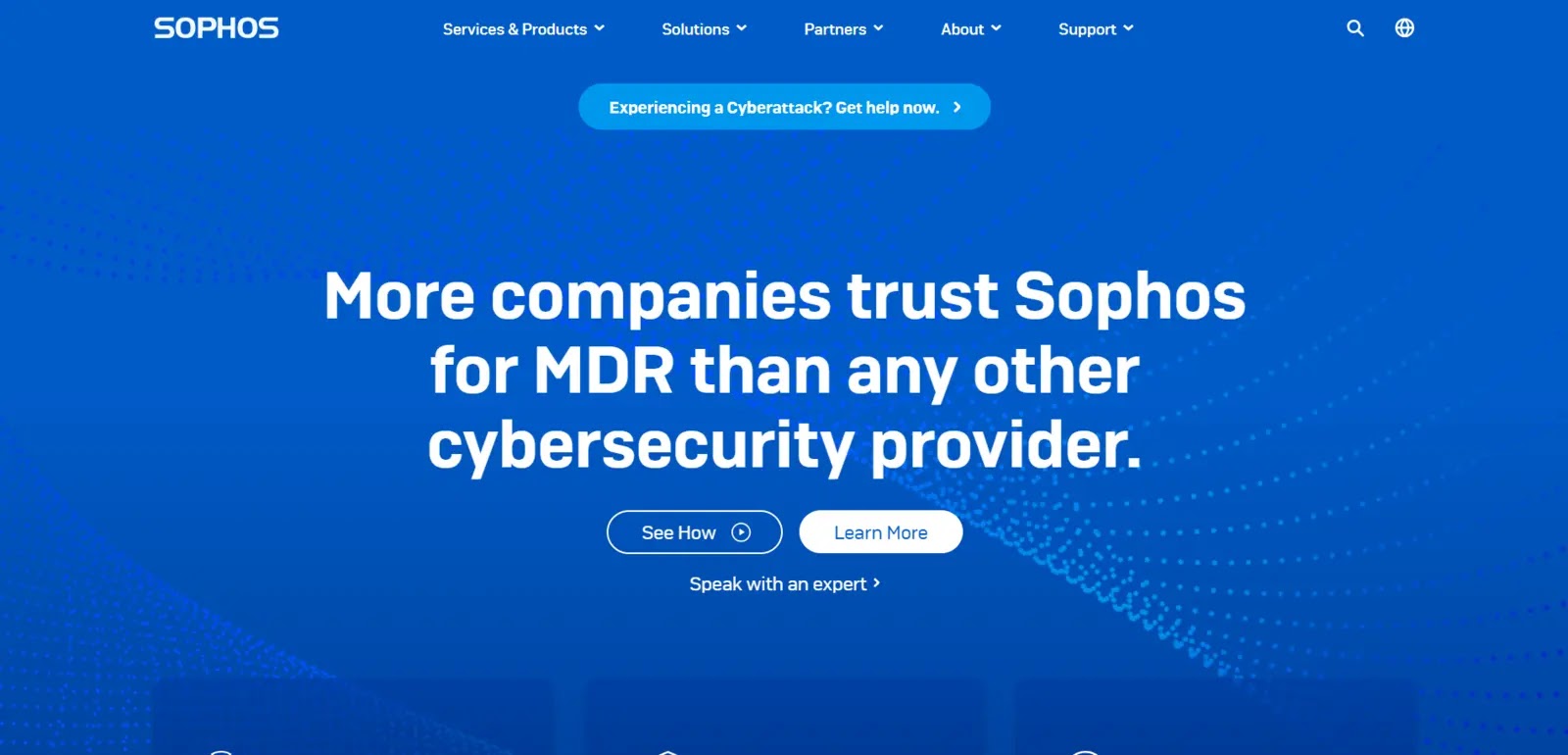 Network Security Distributors