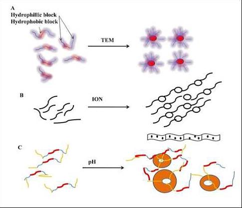 Nanotech for Neurological Health: Nasal Gel Innovations