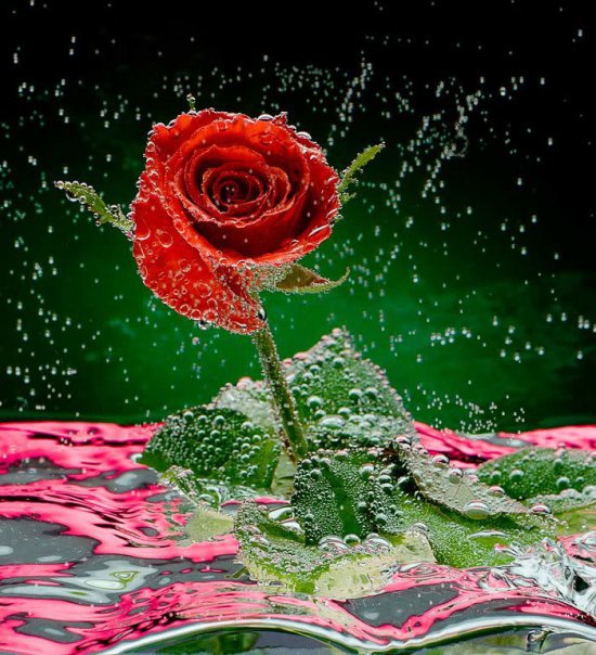 Love Wallpapers For Desktop desktop backgrounds love quotes. Love Wallpapers For Desktop